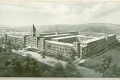 AOMainPlant1912Cropped