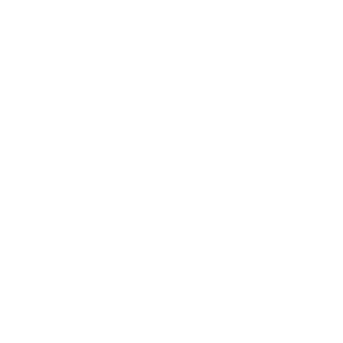 Wellsworth Logo